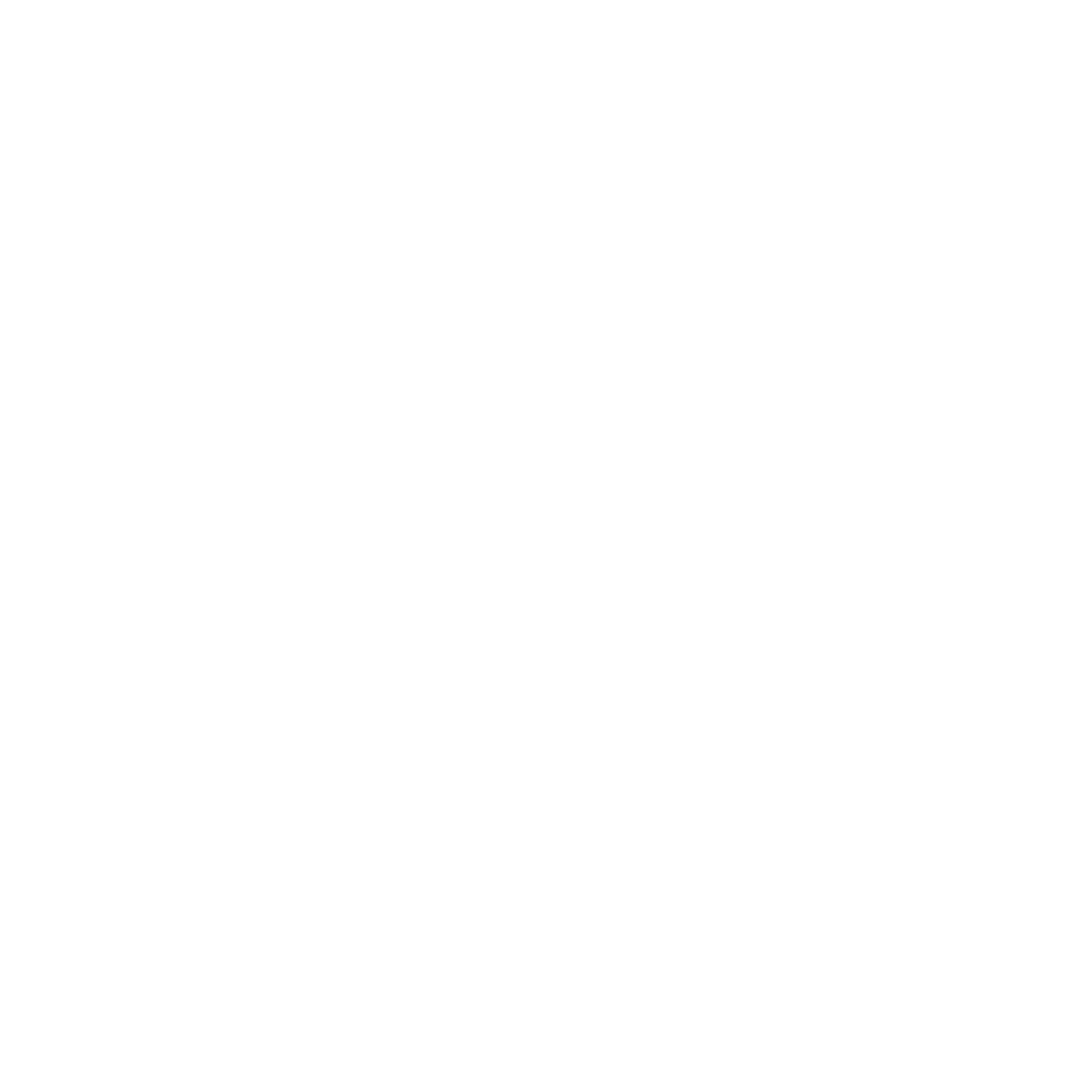 3_logotip_vila_magica